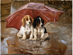 Купить греющую картину с фото две собаки под зонтом