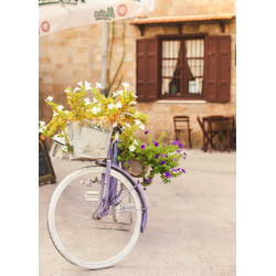 D0447 Велосипед