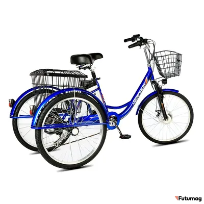 Электровелосипед трицикл РВЗ Чемпион (RVZ-HZ-01) черный