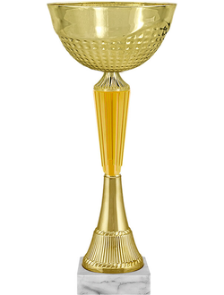 КУБОК ФИМА 5656-100