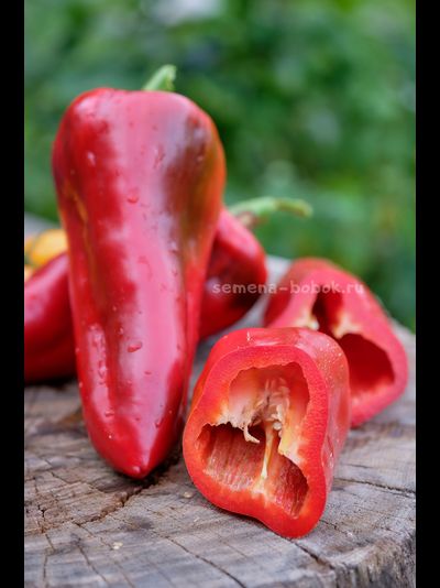 Перец сладкий Гена, 10 шт