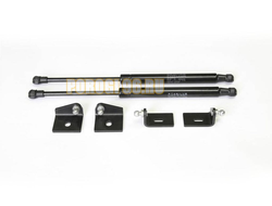 Амортизаторы капота, 2 шт. АвтоУпор для Citroen C4 II 2010-2016