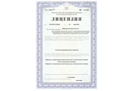 Лицензия ЛО-23-01-012334