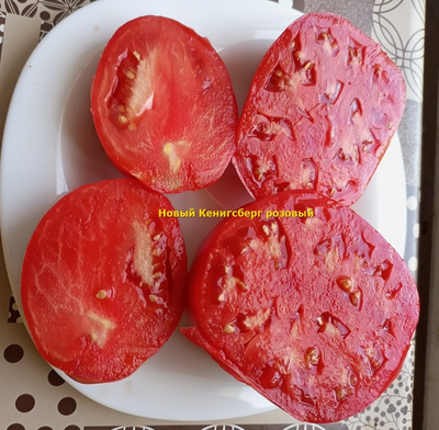 Томат Новый Кенигсберг розовый