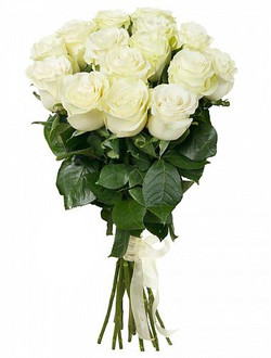 Букет из 15 белых голландских роз 100 см