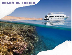 Sea trip near Tiran Island (with the possibility of diving for beginners)
