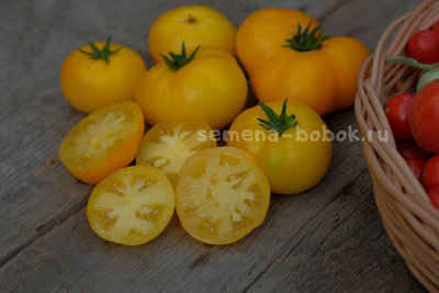 Томат Dwarf Jasmine Yellow (Гном Желтый Жасмин), 10 шт