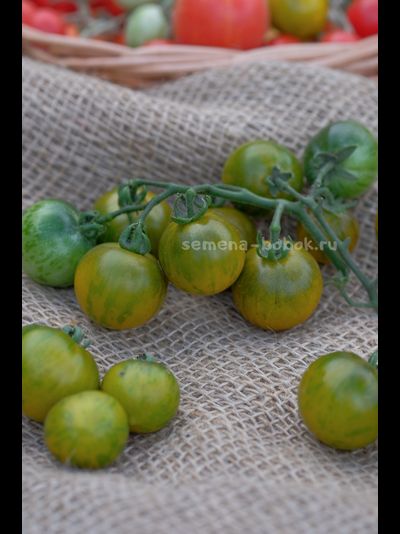 Томат Sweet Baby Jade (Свит Бэби Джейд), 10 шт