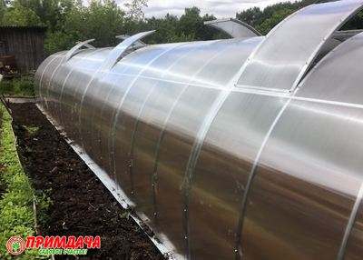 Теплица «Дачница Усиленная» 3*10 м. СОТОВЫЙ ПОЛИКАРБОНАТ 4 ММ. (модификация 1)