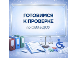 Пакет документов для подготовки ДОУ к проверке по ОВЗ