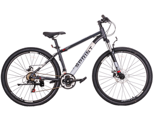 TechTeam Sprint 27.5