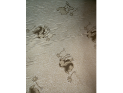 Тик Верблюд с напылением 90 гр.