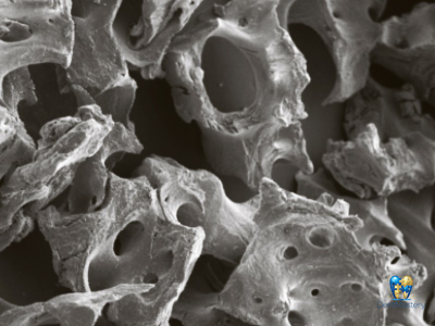 bioOST XENOGRAFT Mineral – Восстановление костной ткани