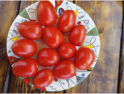 Томат Аргентинская сливка