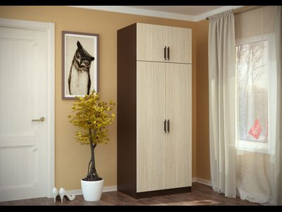 Шкаф 2-х створки с перегородкой (BTS)