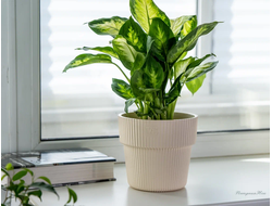 Горшок с дренажной системой Алемар VipSet 8,2 л крем