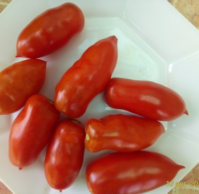 Томат Osu o Blonde avec Tetons (Пышногрудая блондинка Osu)