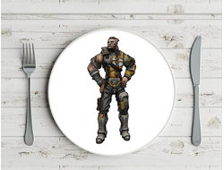 Тарелка Borderlands, Бордерленд №31