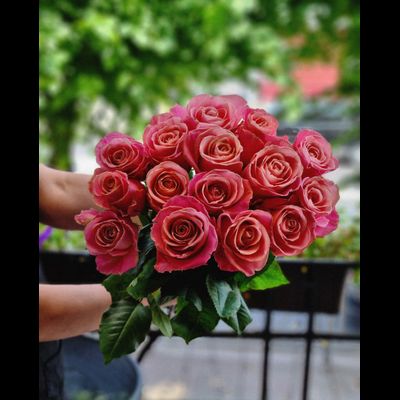 Роза Эквадор 60 см 15 шт