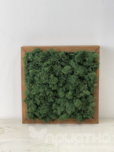 ЖИВАЯ ЭКО-КАРТИНА 1064