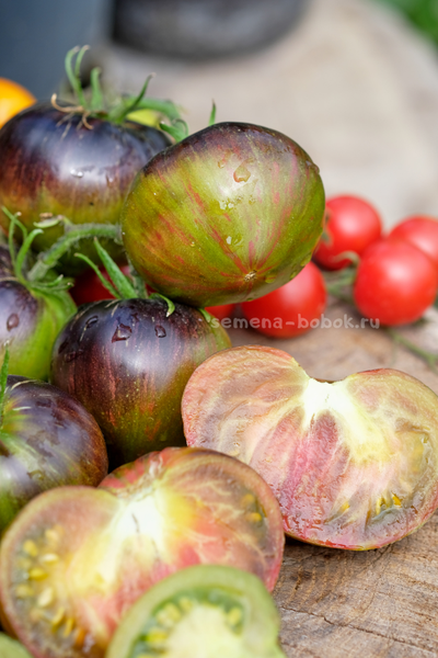 Томат Изумрудный Дождь, 10 шт