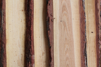 Лиственница тангентальная