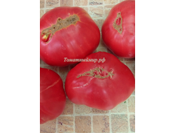 Томат Минусинский от Балуева