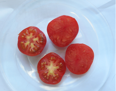 Томат Казабалыкский суперранний