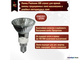Paulmann Halogen ALU Reflector PAR16 50w 230v E14