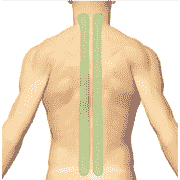  Околопозвоночные зоны. ДЭНАС ПКМ [НЕЙРОДЭНС] 