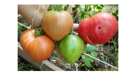 Гордость Грайтмара