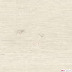 Декор ламината Haro Tritty 100 Дуб Эмилия Белый 538689 структура
