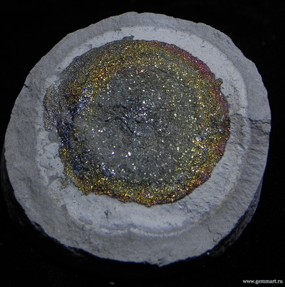 Пирит, "спектропирит", в полости конкреции. Россия. 59*57*28мм