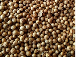 Кориандр (Coriandrum sativum) Индия, семена (5 мл) - 100% натуральное эфирное масло