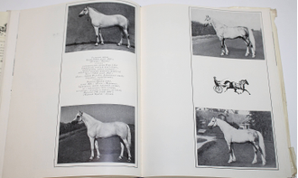 Коннозаводство и конный спорт. М.: Колос. 1972г.