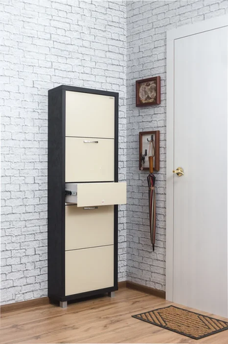 Обувница Айрон-4 Плюс (фасад стекло Капучино)