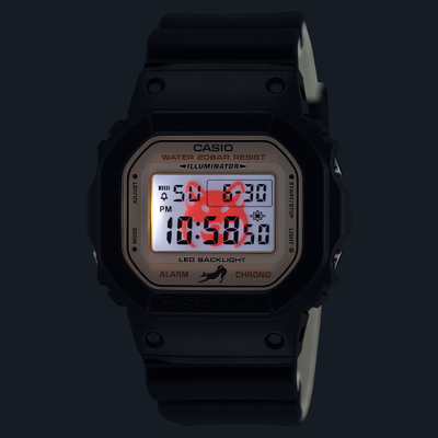 Часы Casio G-Shock DW-5600SHB-1