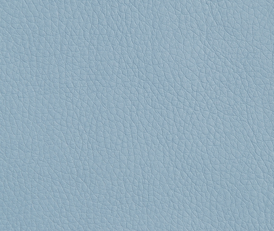 Oregon 36 голубой