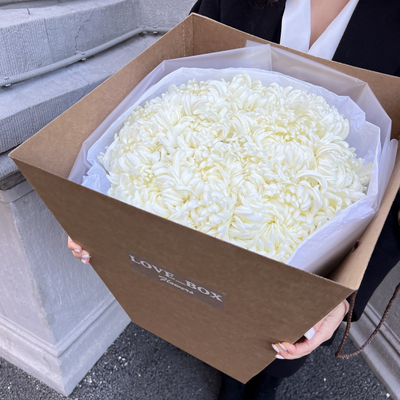 Транспортировочный бокс