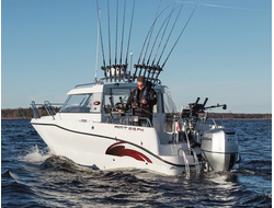 Товары для троллинга