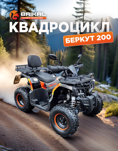 Квадроцикл BAIKAL БЕРКУТ 200 оранжевый