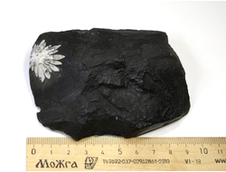 Хризантемовый камень, Целестин на аргиллите, Китай (92*80*35 мм, вес: 290 г) №25187