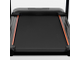 Беговая дорожка Carbon Fitness T306