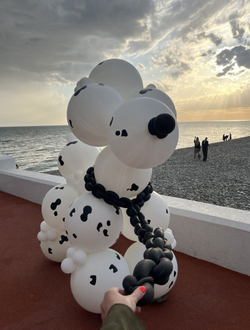 Большая собака из воздушных шаров (2 х 2.5 метра)