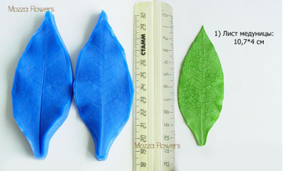 "Лист медуницы " силиконовый молд (вайнер)