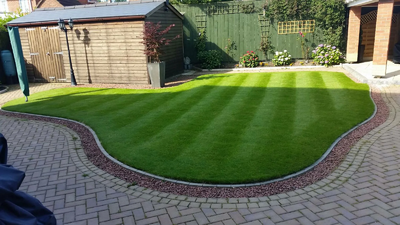 Рулонный газон "Стандарт"