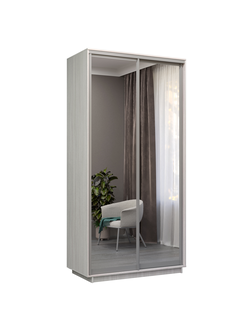 Шкаф-купе Экспенс Хит 1200 (Е1)