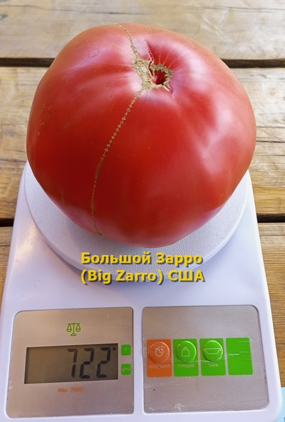 Томат  Бигзарро (Bigzarro), США