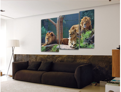 Модульная картина "Внимательные взгляды"