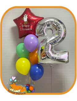 Заезда с индивидуальной надписью и рисунком, 5 Шариков и цифра